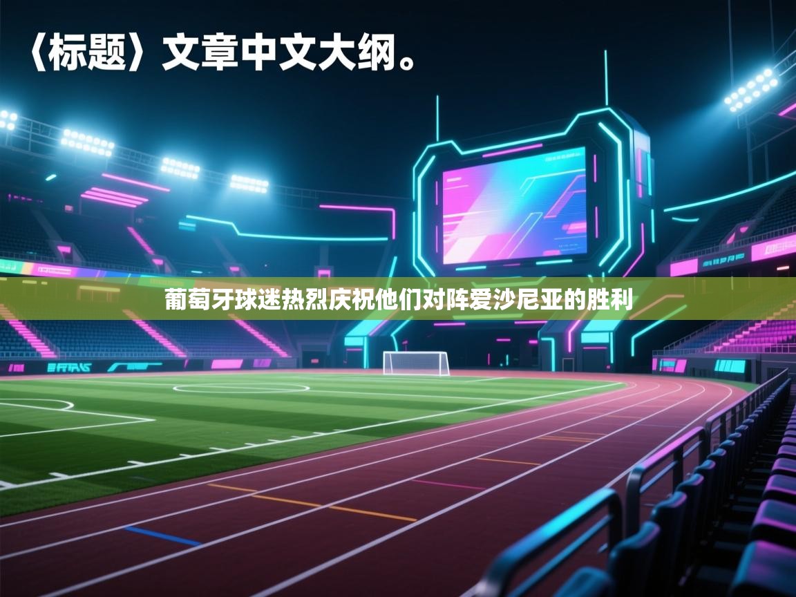 葡萄牙球迷热烈庆祝他们对阵爱沙尼亚的胜利 第2张